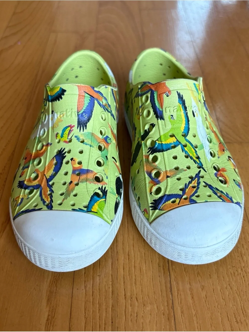 Native Jefferson Sugarlite Shoes Celery Green parrot motif Toddler Boys Girls C9